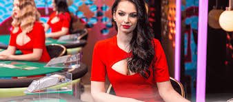 Dealer Live Casino gcs108 sedang membagikan kartu selama permainan